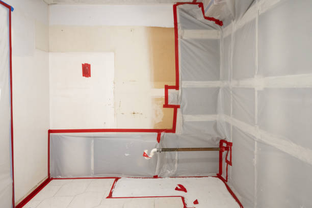 Best Attic Mold Removal  in Clear Lake, IA