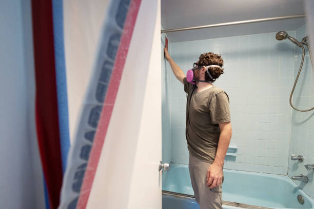 Reliable Clear Lake, IA Mold Removal Solutions
