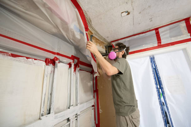 Best HVAC Mold Inspection and Cleaning  in Clear Lake, IA