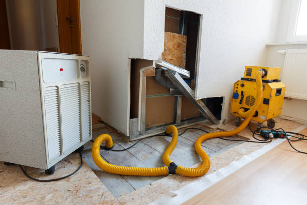 Best Mold Damage Restoration  in Clear Lake, IA