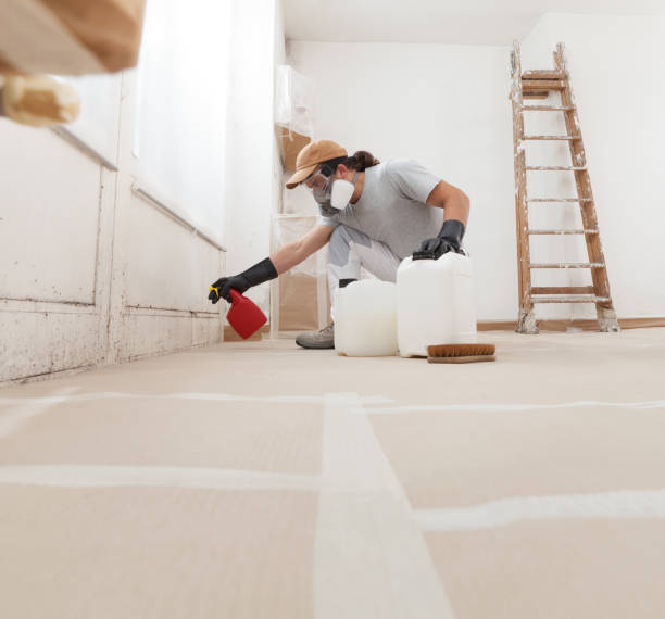Best Mold Documentation for Insurance Claims  in Clear Lake, IA